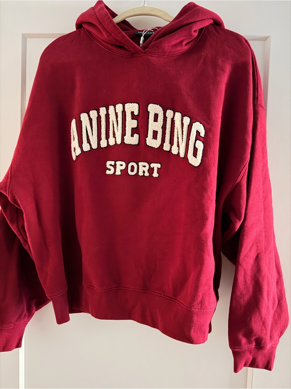 Anine Bing Alec Hoodie NWT medium